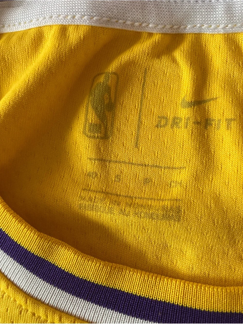 Nike SZ M Los Angeles Lakers LeBron James #23 Purple and Gold Jersey